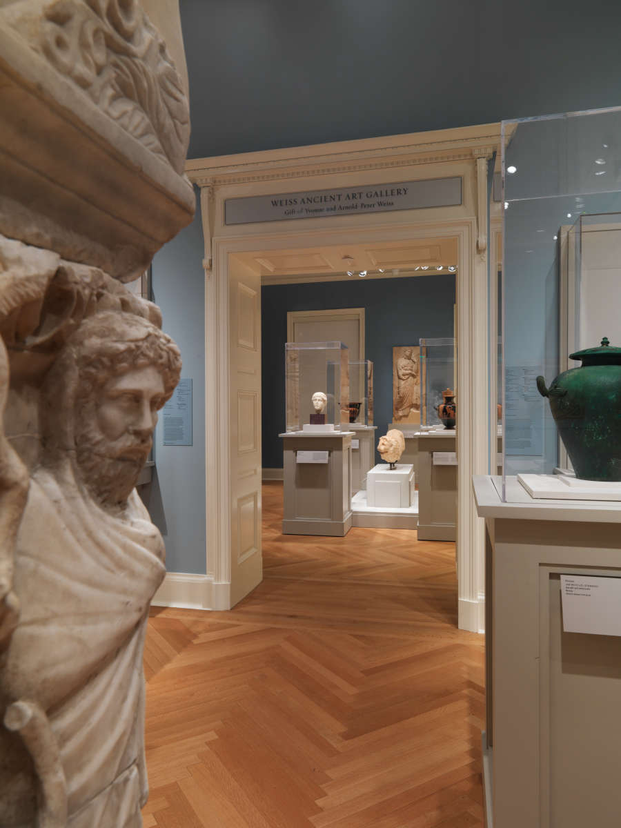 view exhibition image