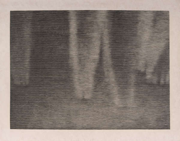 A grayscale image made of horizontal lines, coming together to form a hazy depiction of vertical shapes.