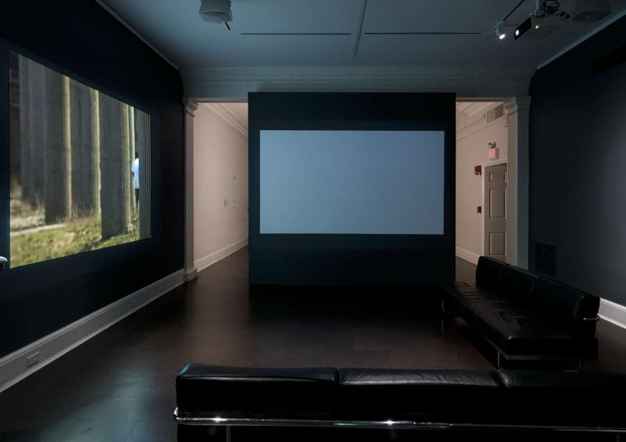 view exhibition image