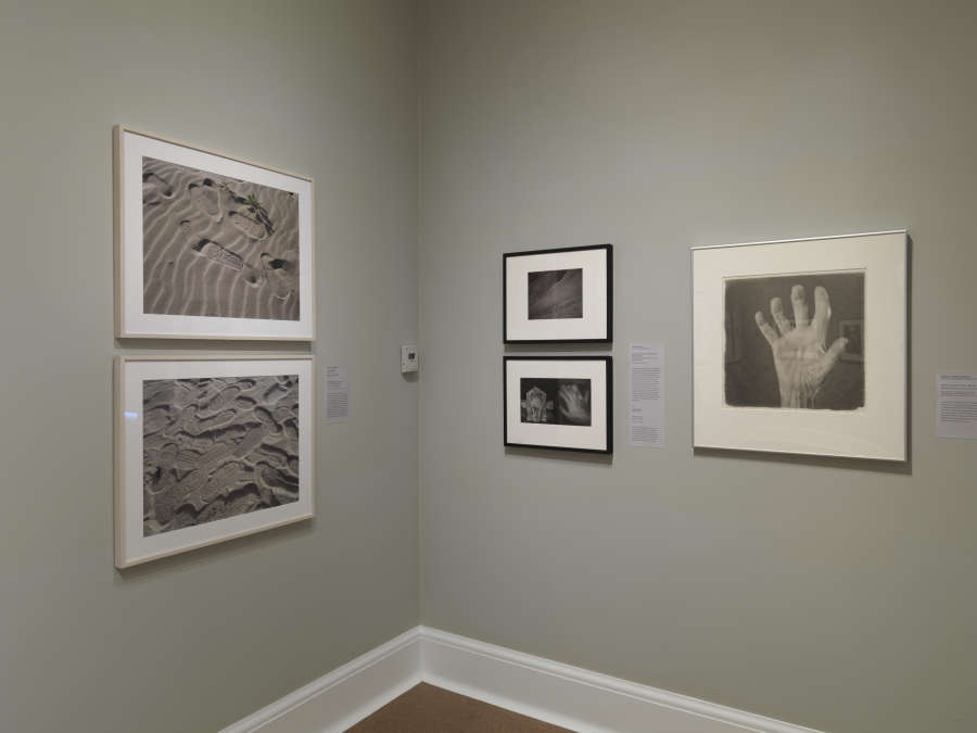 view exhibition image