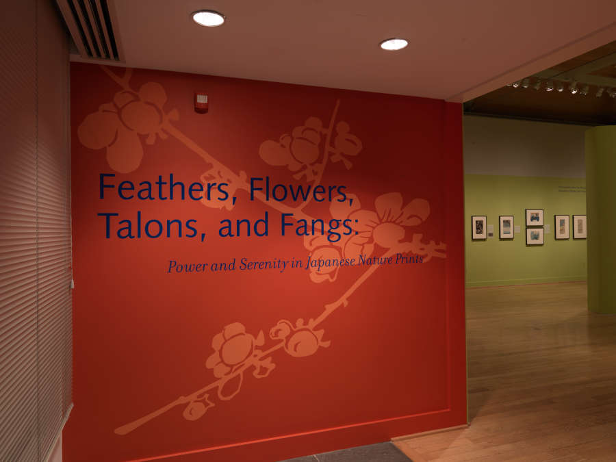 view exhibition image