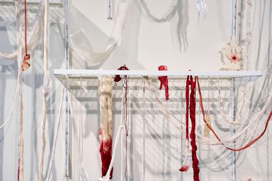 view exhibition image