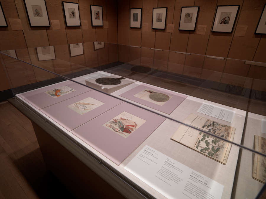 view exhibition image