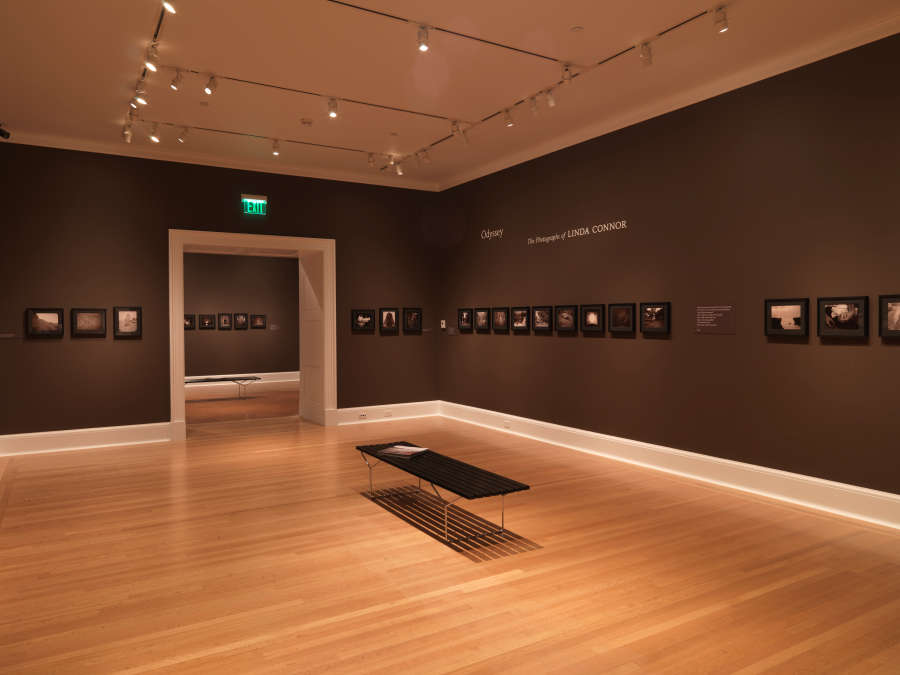 view exhibition image
