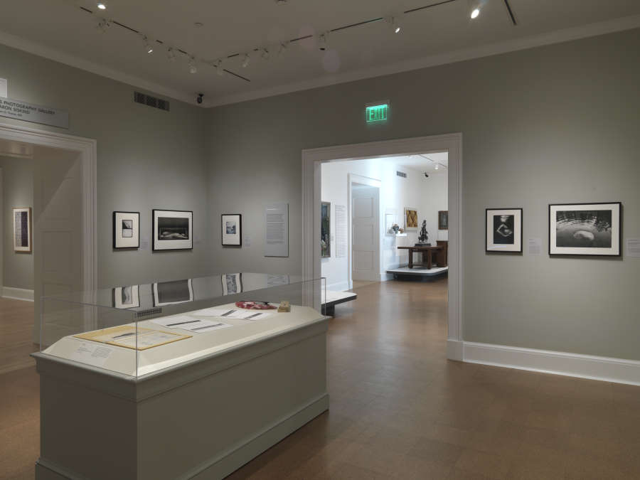 view exhibition image