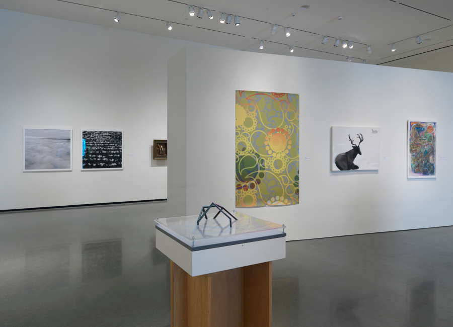 view exhibition image