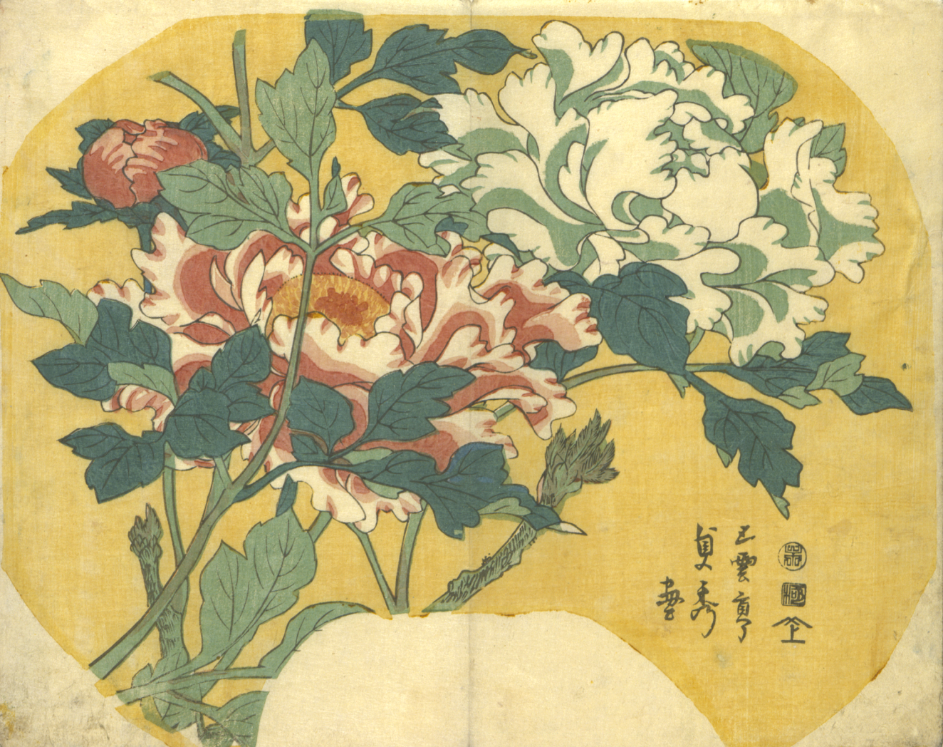 Large peony blossoms in red and white framed by foliage against a yellow background, accented by calligraphy in the lower-right edge.