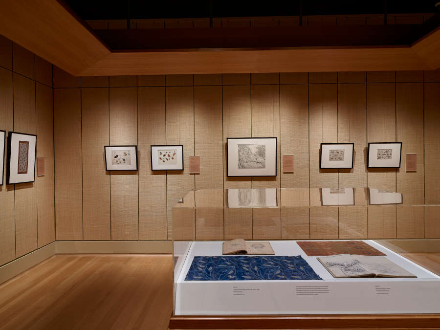 view exhibition image