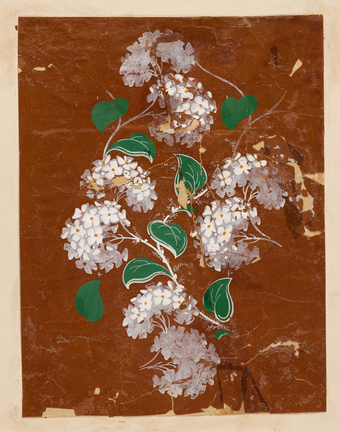 Wrinkled and scuffed brown wallpaper of multiple white hydrangeas with white stems and white outlined green leaves going down the wallpaper’s center.