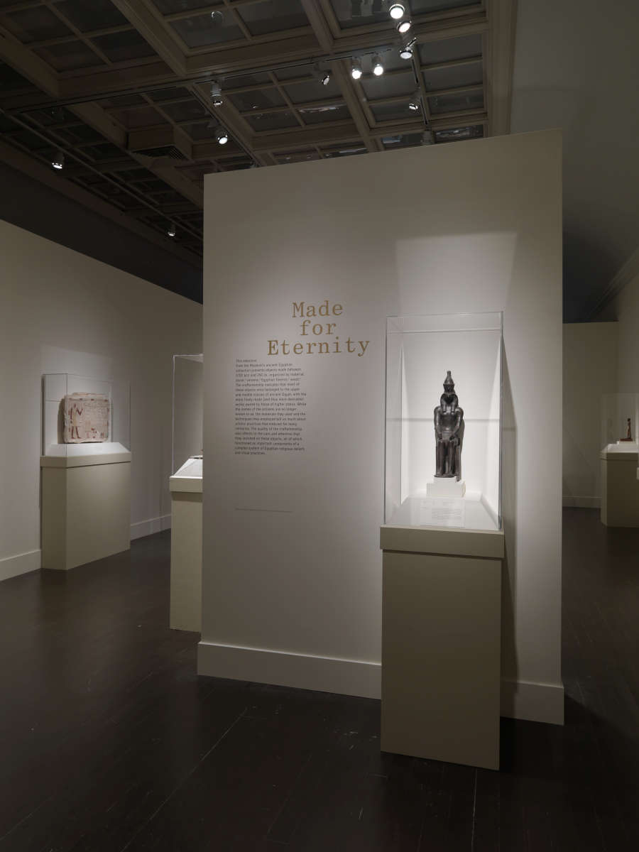 view exhibition image