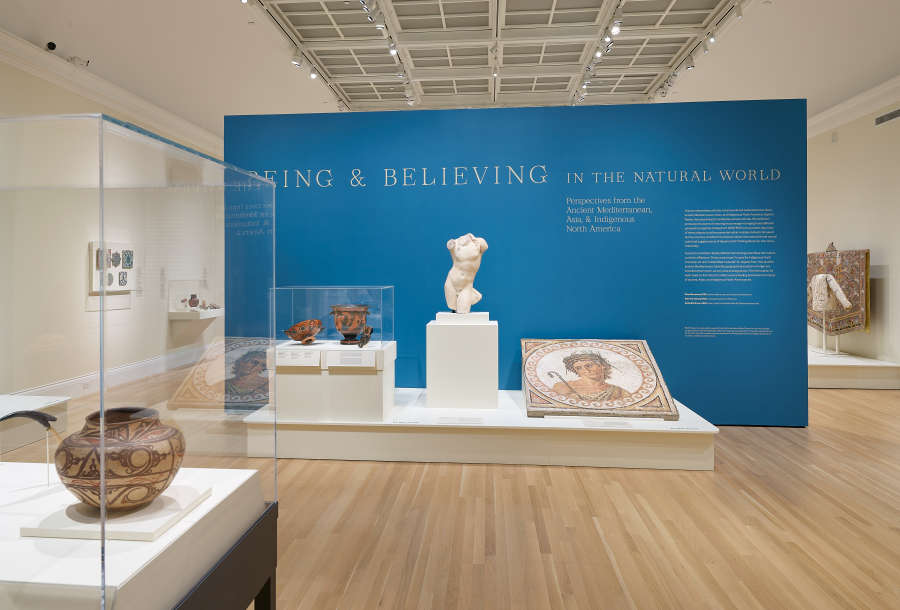 view exhibition image