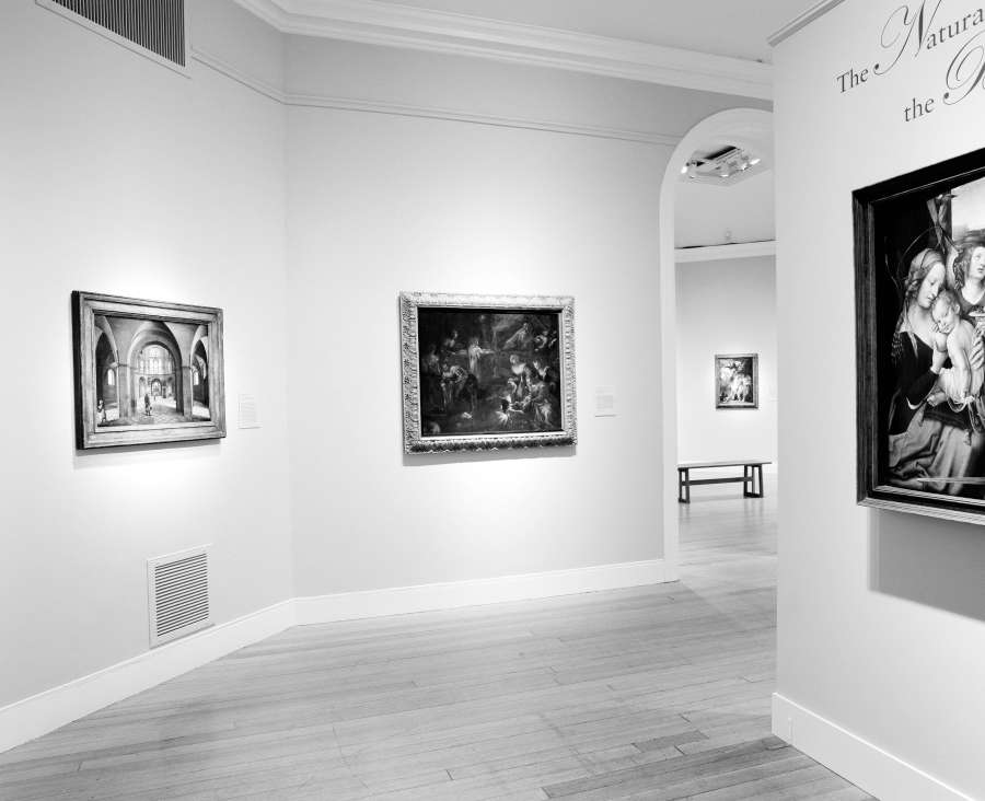 view exhibition image