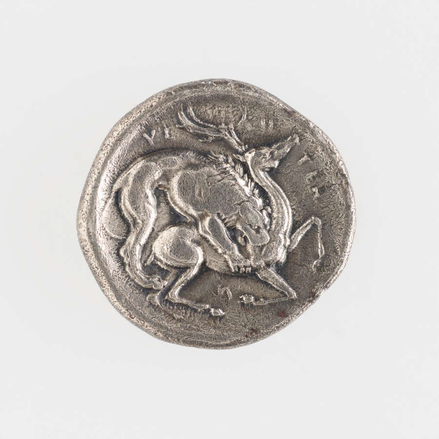 Another side of a silver irregular coin embossed with a depiction of a mountain lion preying on an antlered deer with Greek text in a concentric arch above it.