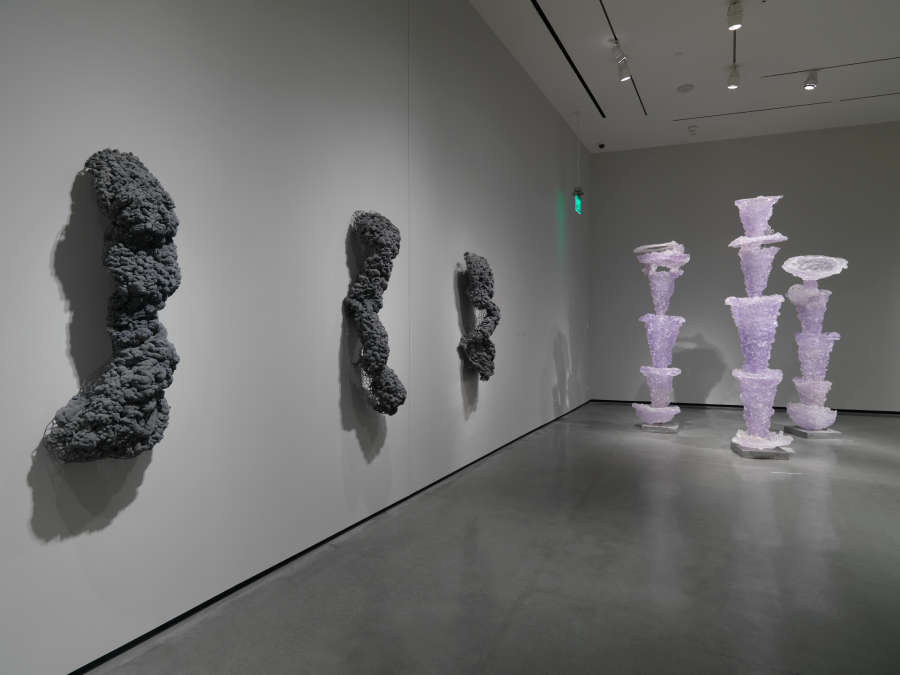 view exhibition image