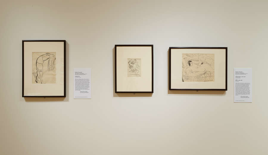 view exhibition image