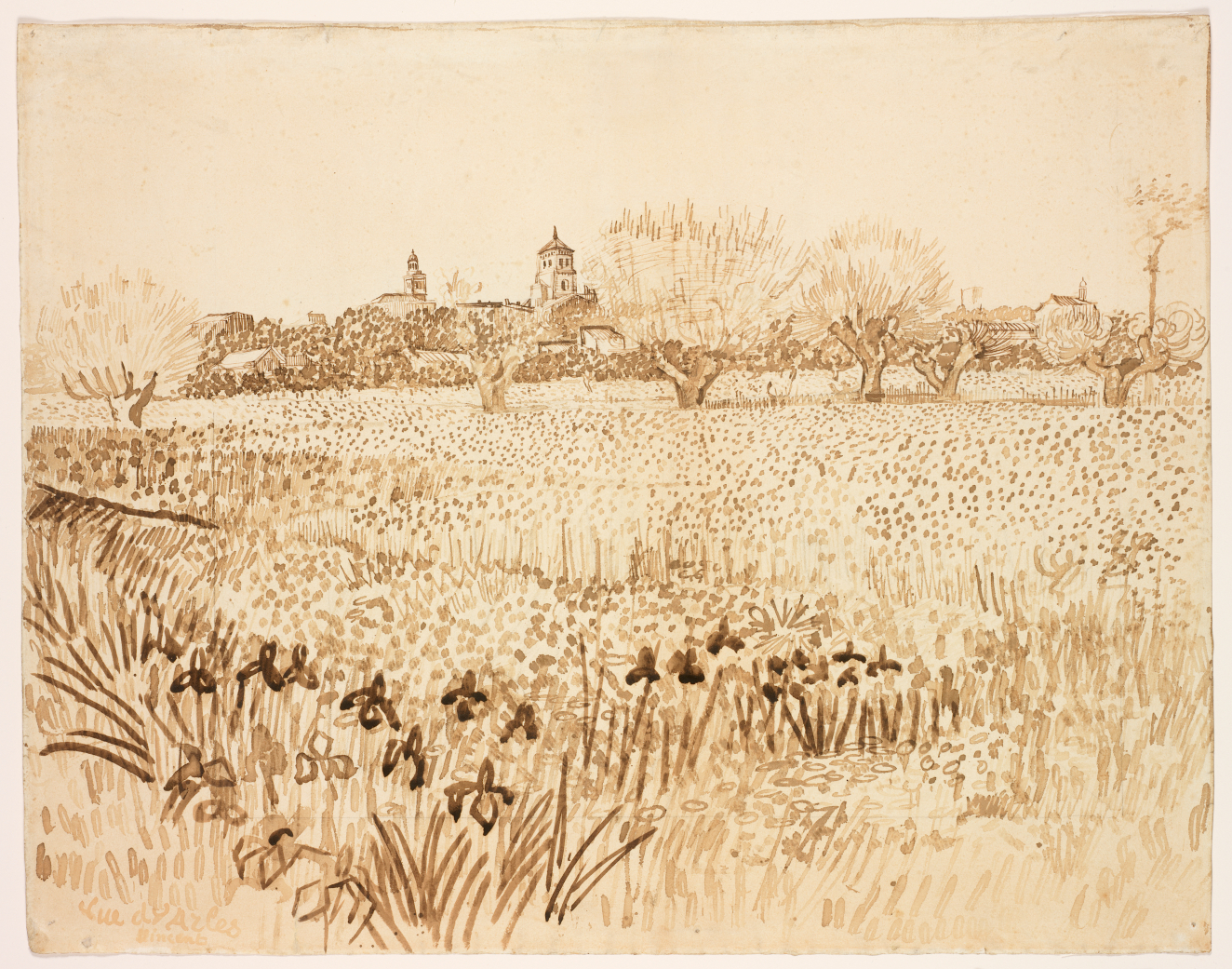 A detailed drawing of a vast field with blooming flowers, twisting trees, and a small town in the background on aged paper. 