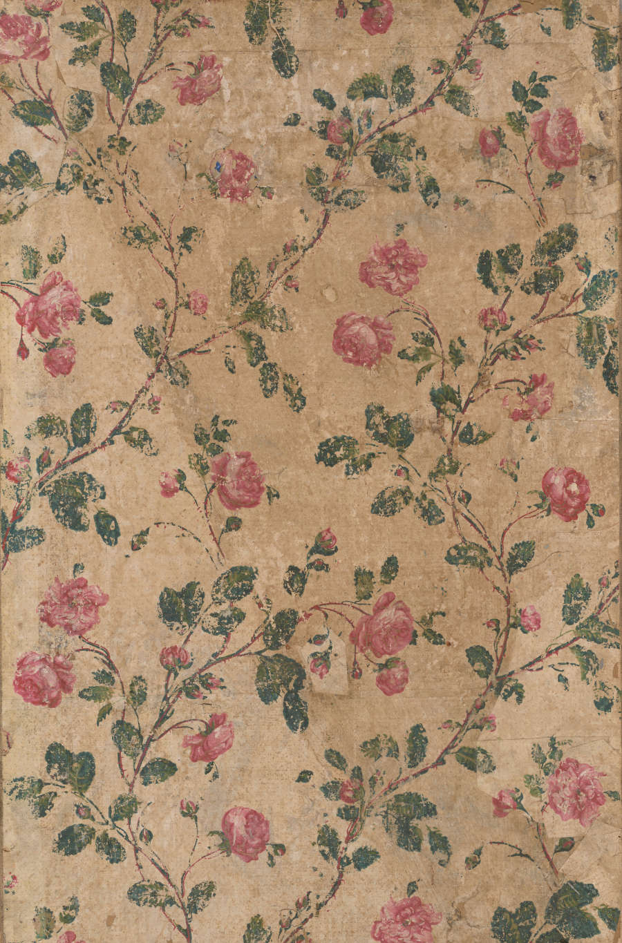 Segment of vintage wallpaper featuring a pattern of climbing and intertwining rose stems with vibrant pink flowers and green leaves on a textured beige background.