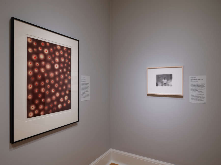 view exhibition image