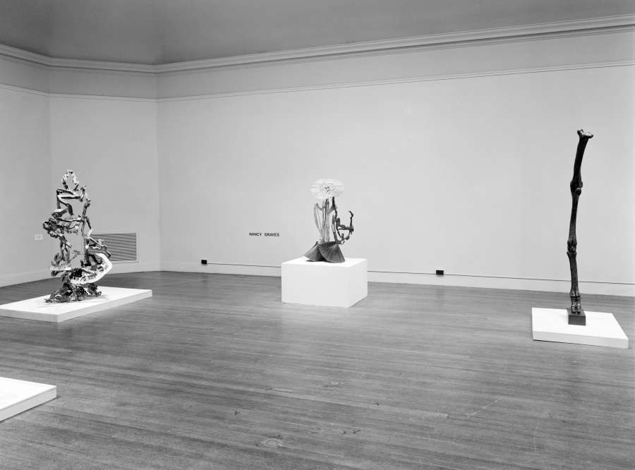 view exhibition image