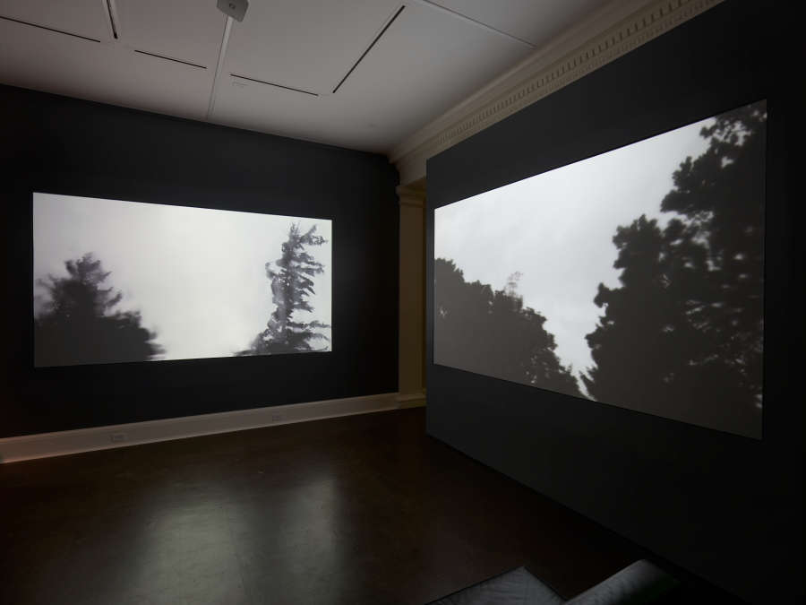 view exhibition image