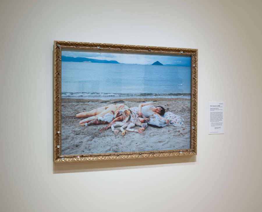 view exhibition image