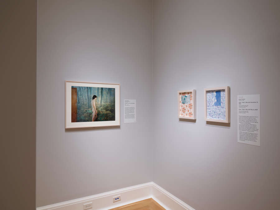 view exhibition image