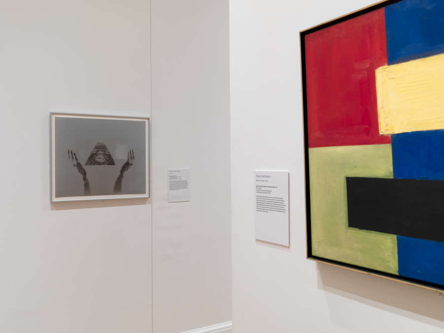 view exhibition image