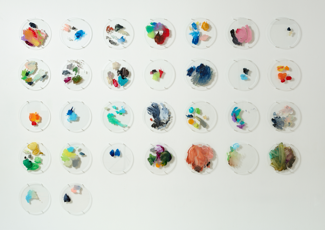 Grid of circular glass discs mounted on a white wall, each holding small dabs of multicolored paint. The arrangement forms five rows of varied swatches in loose, irregular clusters.