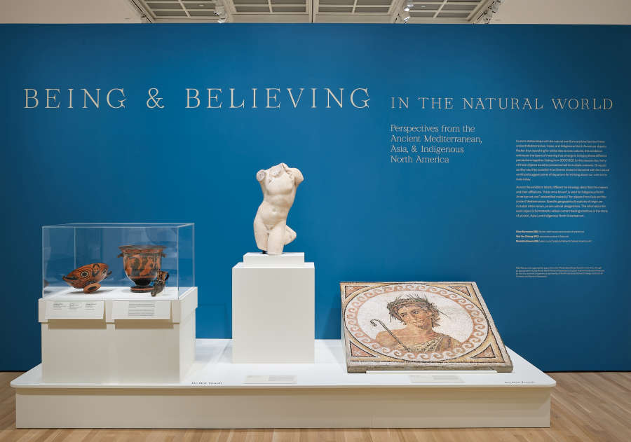 view exhibition image