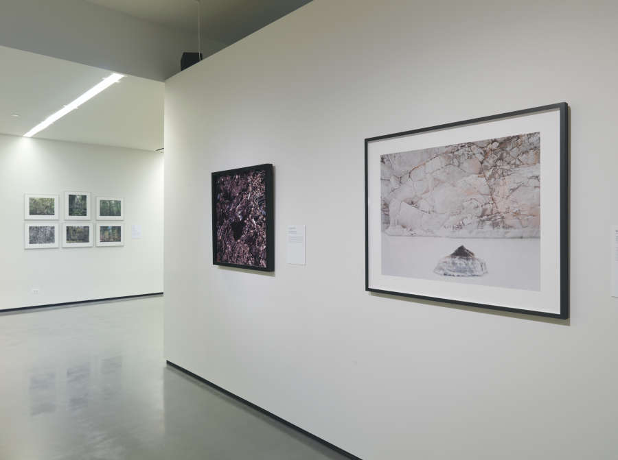 view exhibition image