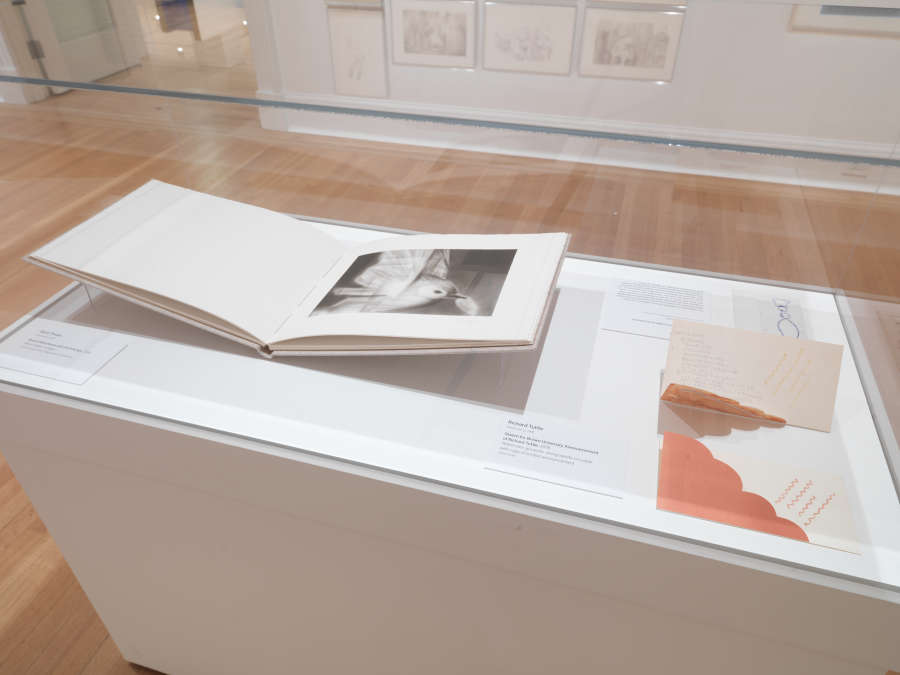 view exhibition image