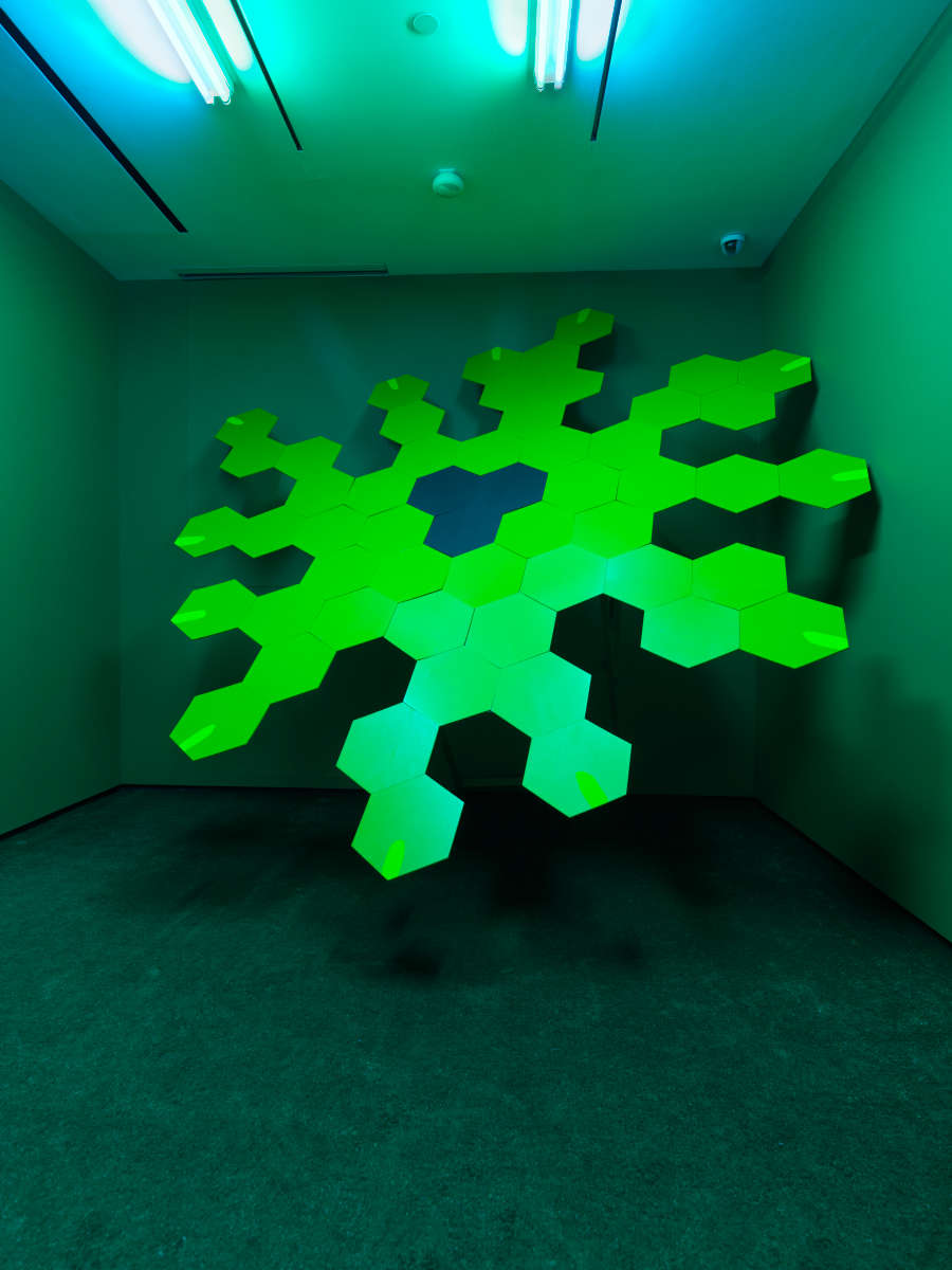 view exhibition image