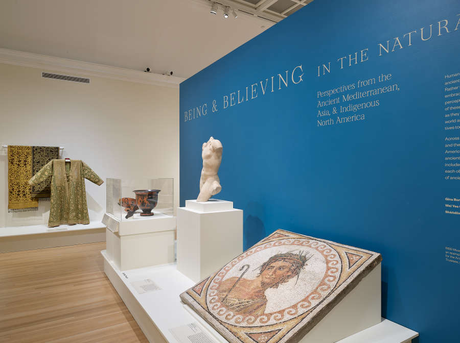view exhibition image