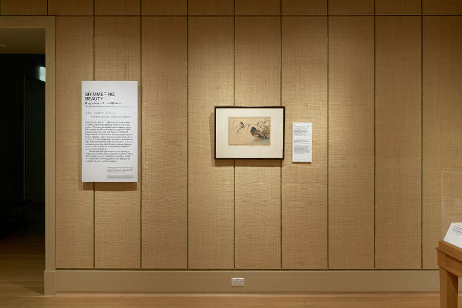 view exhibition image
