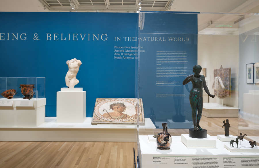 view exhibition image