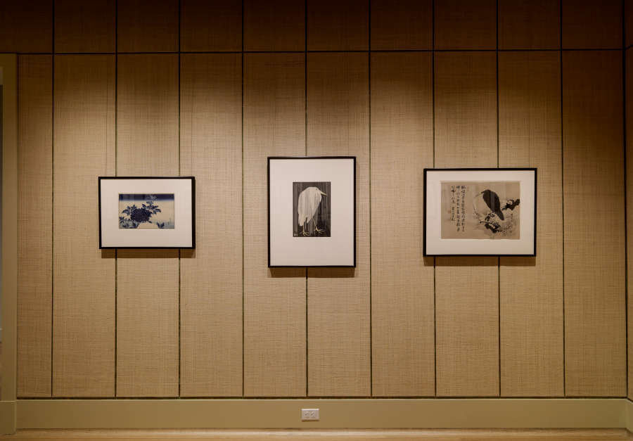 view exhibition image
