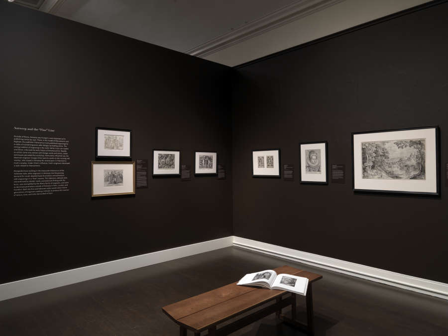 view exhibition image