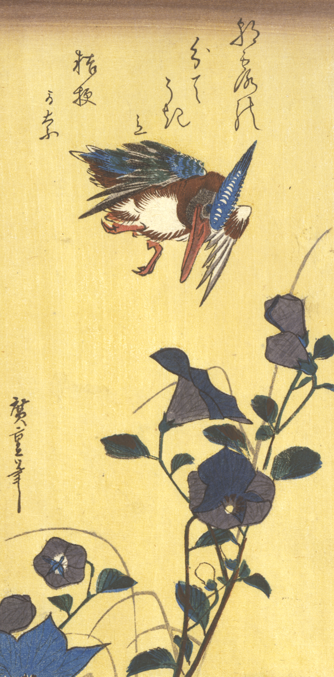 A blue and brown bird flying above dark purple flowers sprouting from slim branches against a yellow background. 