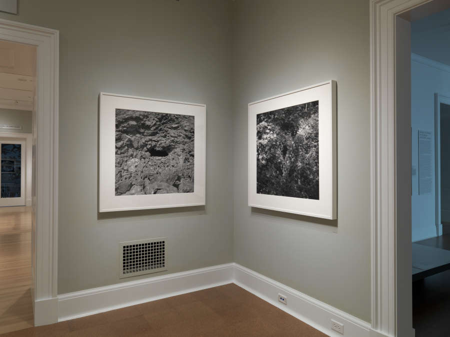 view exhibition image