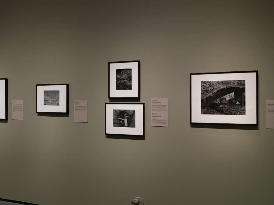 view exhibition image