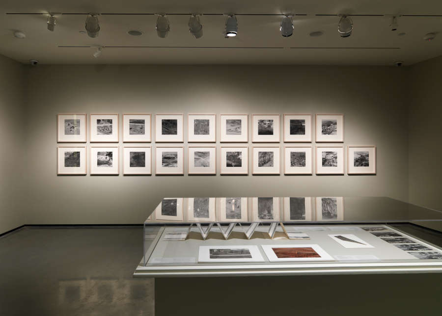 view exhibition image