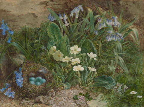 Jane Ogden, Bluebells and Primroses with a Bird’s Nest, 1866