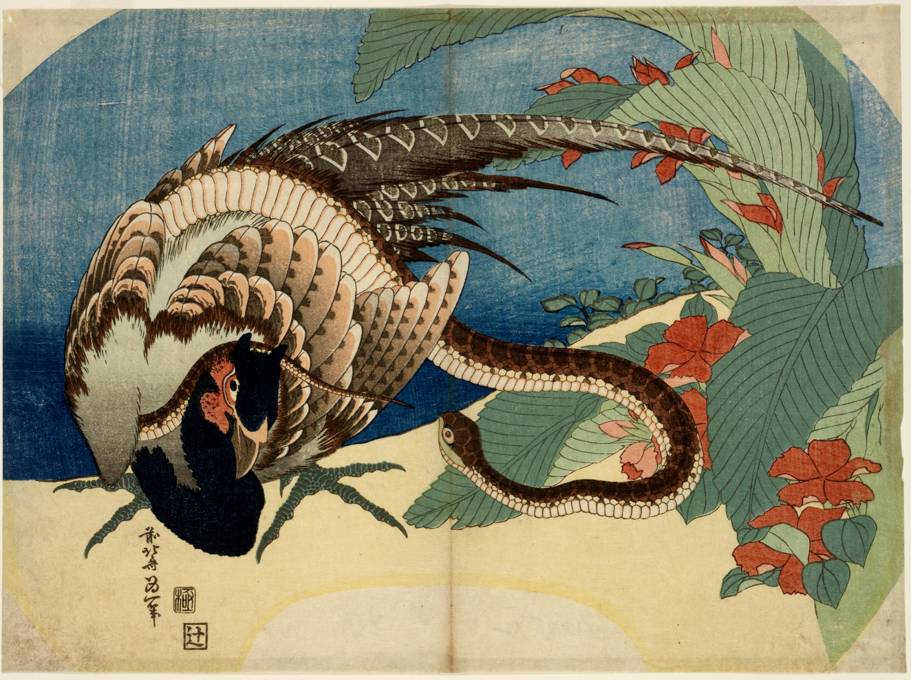 A pheasant with patterned plumage in a tense encounter with a brown snake amidst large green leaves and red blossoms against a blue sky.