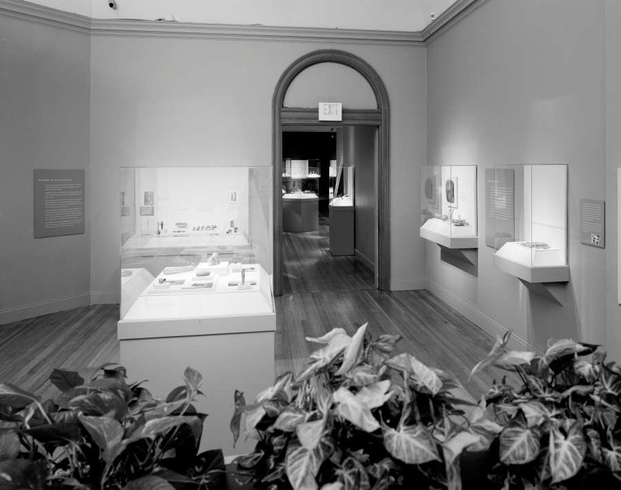 view exhibition image