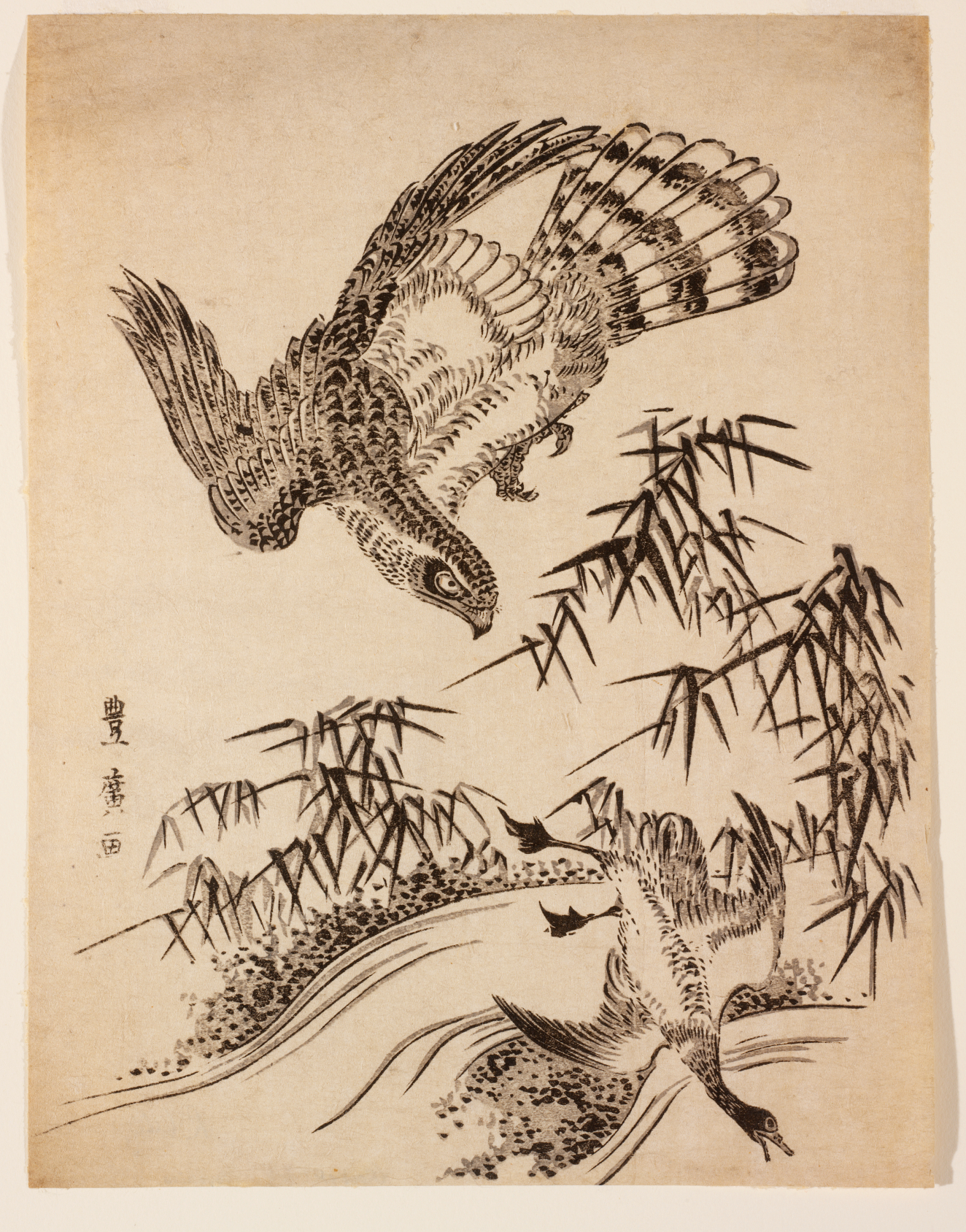 A hawk pursuing a goose above bamboo leaves and a rippling river drawn in black, accented by a line of vertical calligraphy against a pale tan background.