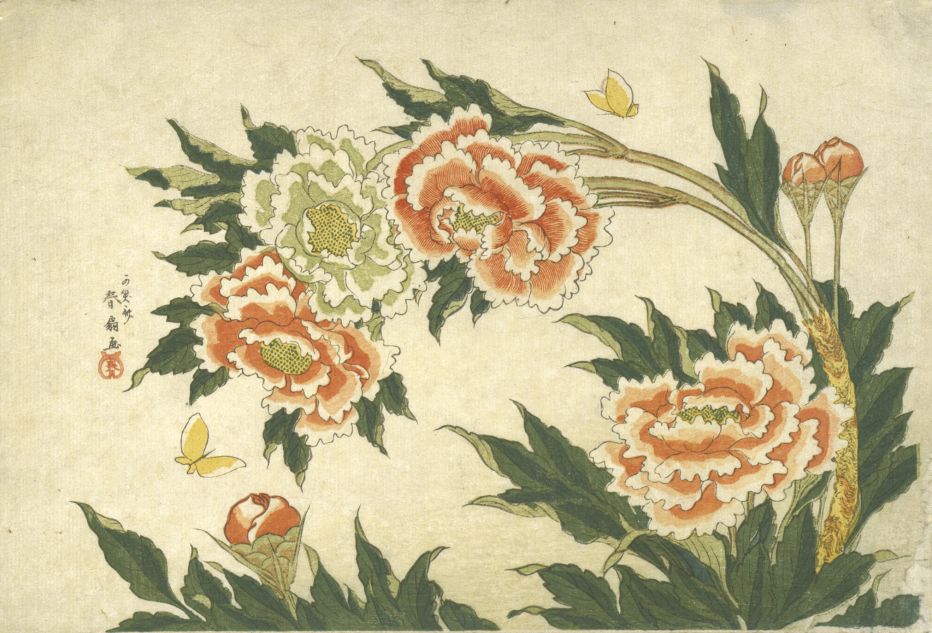 Large red and white peonies in different stages of bloom arching across the page framed by green foliage and a pair of fluttering yellow butterflies.