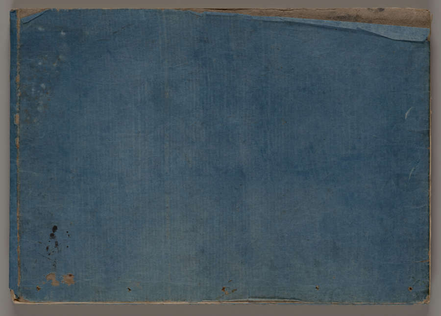 A worn, blue rectangle. White vertical streaks are visible, as well as stain spots and other markers of aging. On the top left corner, the blue layer is peeling off.