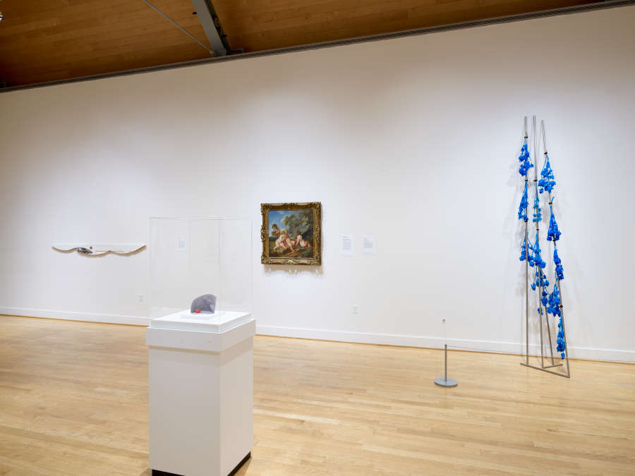 view exhibition image