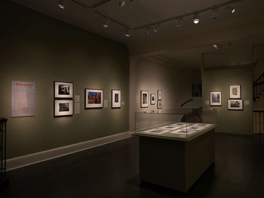 view exhibition image