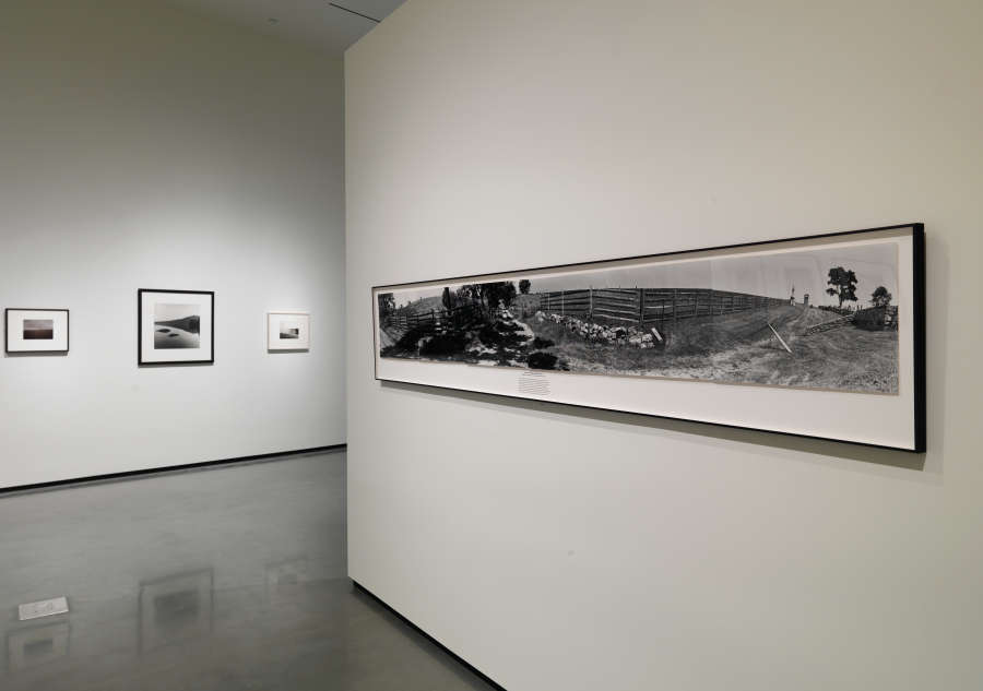 view exhibition image